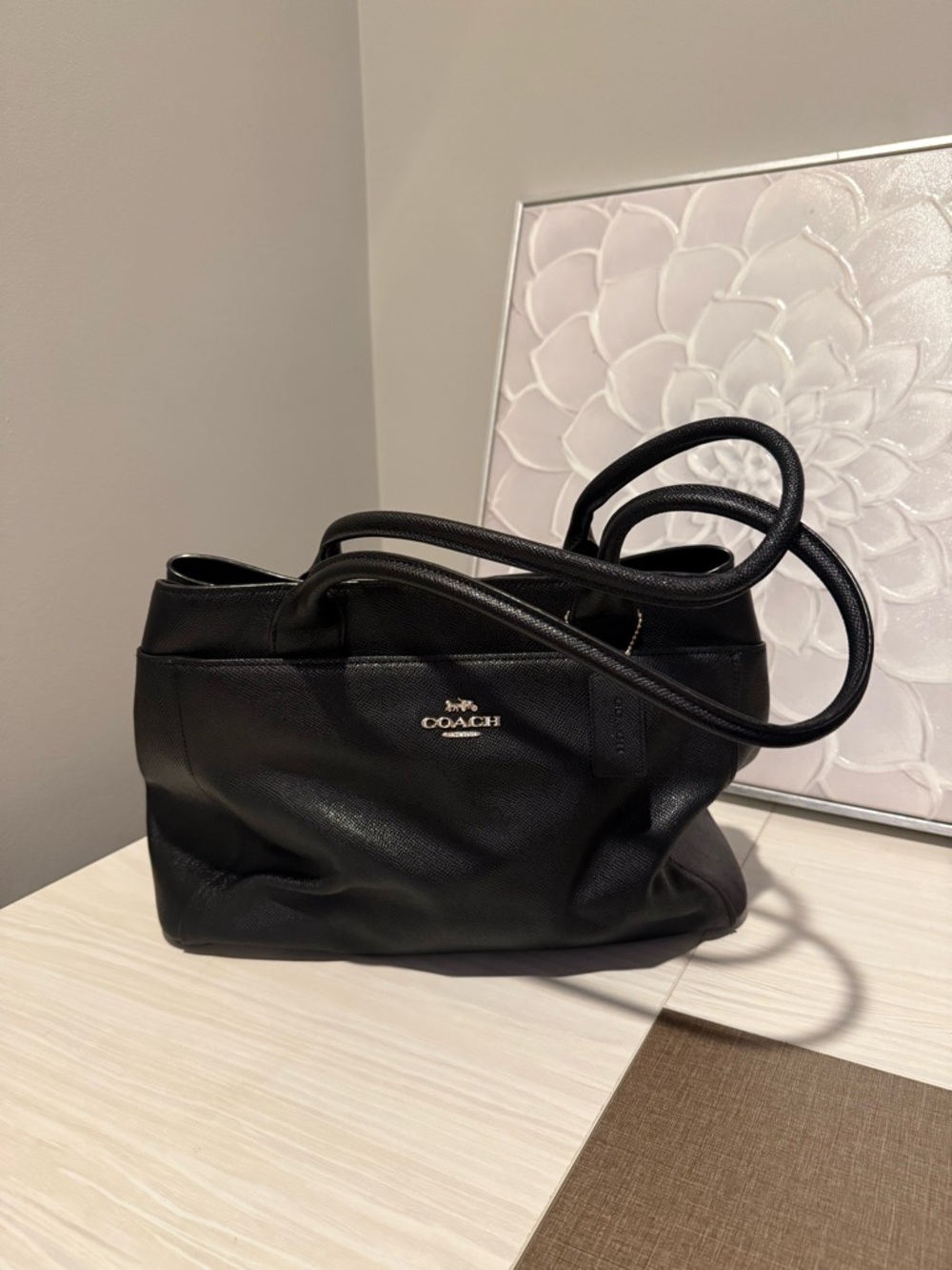 COACH Casey Tote Bag with COA